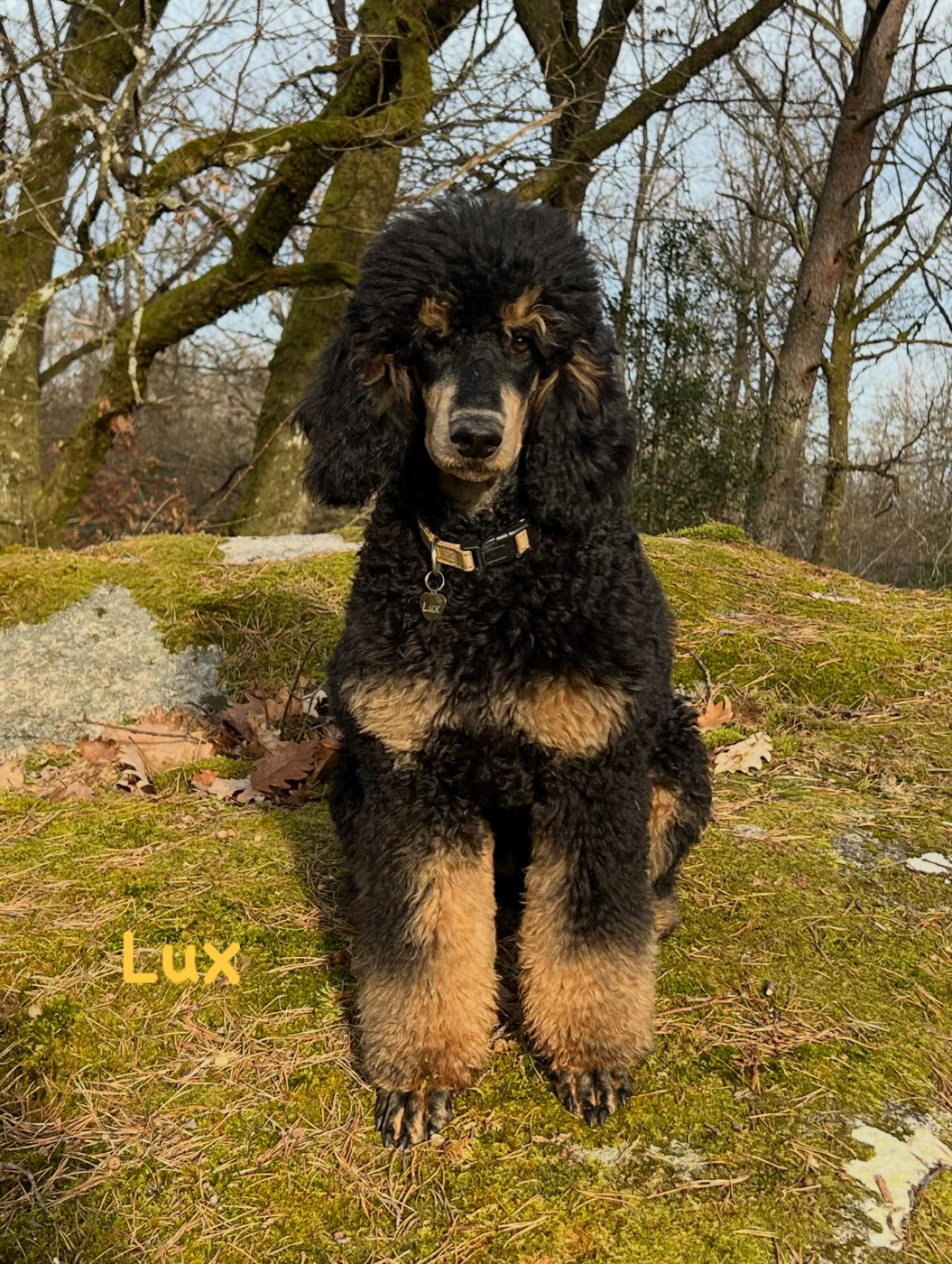 Ahava Lux Des Terres D'Imagine